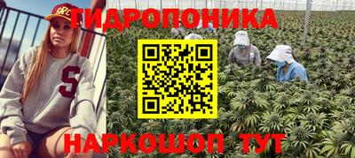 молекула духа Лесосибирск